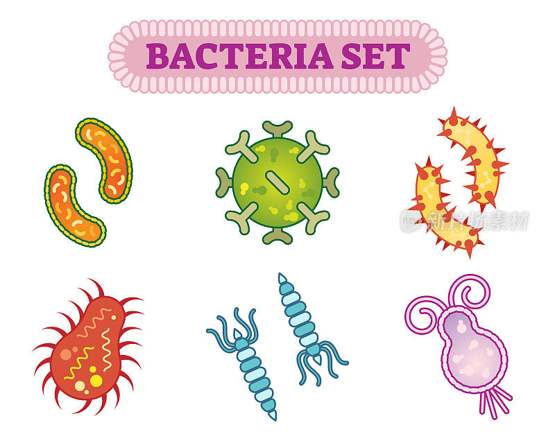 Bacteria microorganism vector illustration set
